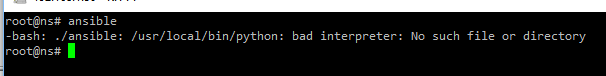 ansible error